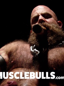 Muscle Bulls