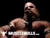 Muscle Bulls - user avatar