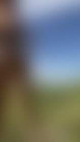Are you in for a quickie? - post hidden image