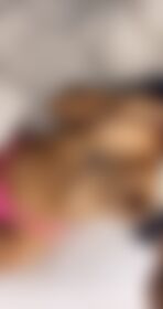 Pretty titttiessss 💓 - post hidden image