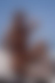 Beach Nude Blonde