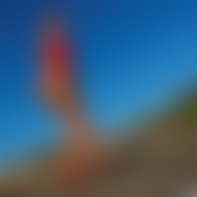 Red Dress Walk - post hidden image