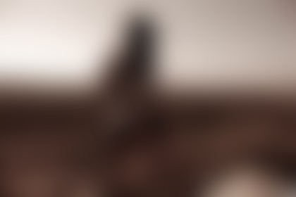 Panorama Pussy - post hidden image
