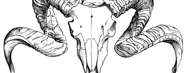 Saddistraincloudz - profile image