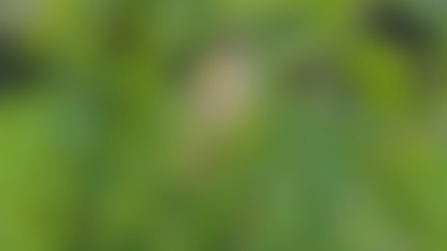 I mow my lawn naked 😁 - post hidden image