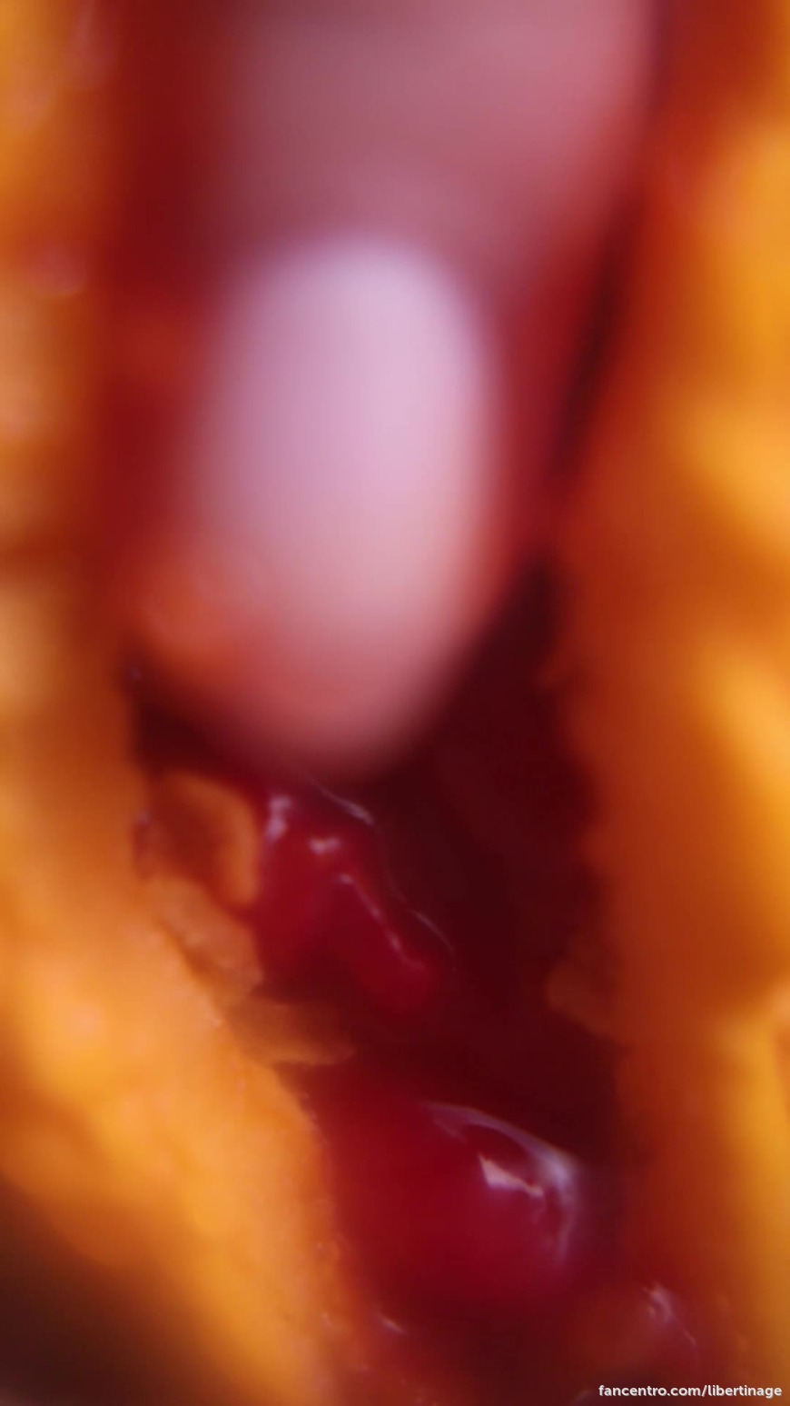 Sweet fruit - short and censured video 1foreground