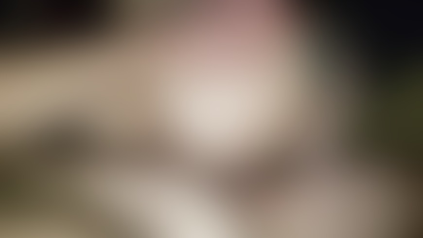 Daily post! - post hidden image